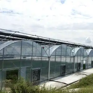 multi span film greenhouse for tomatoes seed growing for sale