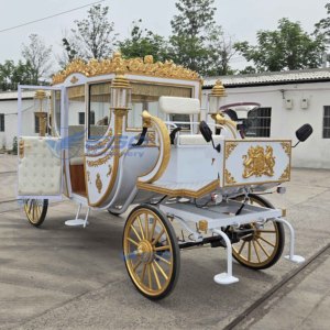 Carruaje Eléctrico de Hierro de Lujo para Bodas y Negocios de Alquiler Turístico - Product Image 3