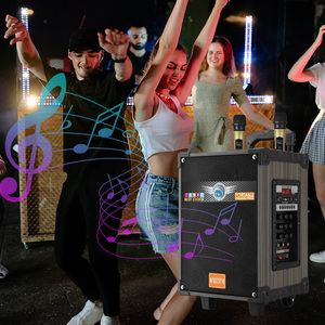 Loa siêu trầm di động chất lượng cao 12 inch LT-910 LT-912, kiểu dáng mới, chất liệu gỗ, không dây, tích hợp <span class=keywords><strong>Bluetooth</strong></span> - Product Image 6