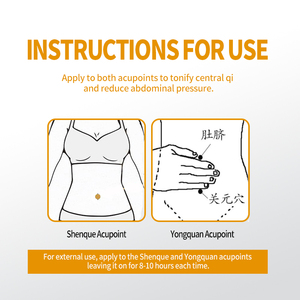 6-Patch thoát vị thạch cao cho trẻ em & người lớn, thành phần thảo dược, dễ dàng Navel ứng dụng, tự nhiên cứu trợ hỗ trợ OEM giảm giá - Product Image 4