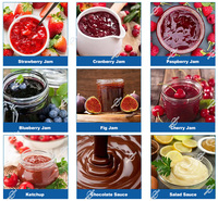 Marmite de cuisson électrique 50-500L, mélangeur vertical pour sauces, confitures, mayonnaise, pâte de tomate, ketchup, chaudière à vapeur avec agitation