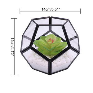 Grosir Set Wadah Terarium Geometris Kaca Mini dari 3 Rak Penanam Meja Modern Kotak Tampilan Dekorasi Hadiah Tengah Meja - Product Image 5