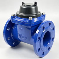 Large Diameter Woltmann Digital Water Meter IP68 OEM Low Pressure Loss Flow Meter for Farm Industrial Water Pipeline Monitoring