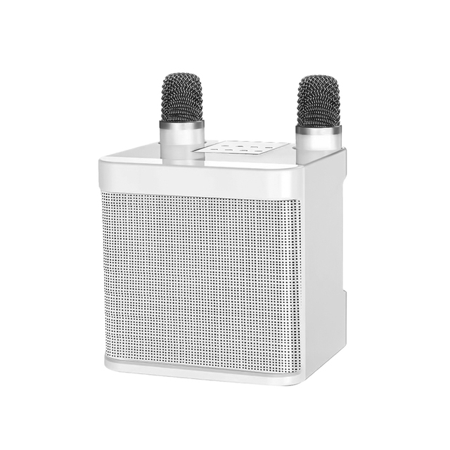 Portable 10W Dual Mic Wireless Karaoke Speaker 2 Wireless Microphones Heavy Duty for Home KTV Outdoor Parties Bars USB