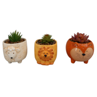 Pot de plantes succulentes artificielles en céramique pour petits animaux