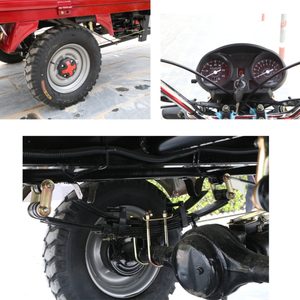 Three-Wheeled <b>Gasoline</b> Motorcycle Power-Fuelled Motorized Vehicle with Opened Body Type - Product Image 6