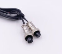 OEM-Hersteller Stecker Kabelbaum baugruppe m12 Kabel Buchse und Stecker Hoch temperatur Auto Elektrokabel PARALLEL KABEL