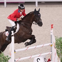 Obstacles équestres de haute qualité Poteaux en bois avec extrémités en métal Tailles personnalisées durables Prix d'usine Sauts de spectacle équestre