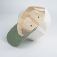 Groothandel 100% katoenen heren petten met aangepaste borduurlogo, 5 panelen, tweekleurig, baseballcap