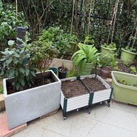 Jardinière rectangulaire en rotin PP tressé, auto-arrosante, avec trou de drainage, légère, durable, pour l'intérieur et l'extérieur