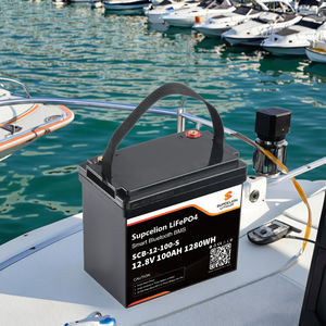 100Ah 12V LiFePO4 Power Bank domestica: <span class=keywords><strong>3</strong></span> giorni di BlackoutProtection per le famiglie, sopravvivendo all'acido al piombo 10 anni - Product Image 6