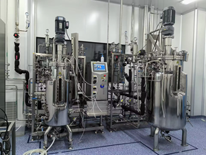 Alta calidad estándar de la UE automático 100L 300L GMP taller bomba Motor y PLC biorreactor fermentador precios - Product Image 2
