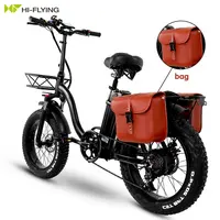 Long Range Electric Bicycle, PAS Mode, 750 W, 15 A Battery