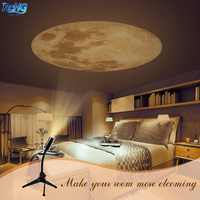 Lampe LED de projection Terre-Lune rustique 2-en-1 pour chambre à coucher, projecteur USB rotatif à 360° de ciel étoilé chaud, veilleuse