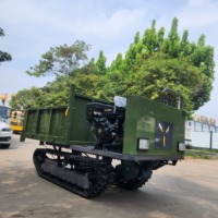 Livraison Gratuite – Mini-Dumper sur Chenilles de 2 Tonnes avec Déchargement Hydraulique, Transporteur sur Chenilles, Norme Euro 5 pour Travaux Agricoles et de Construction