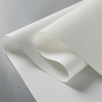 Rouleau de toile à jet d'encre en polyester grand format pour impression au latex UV pour imprimante Mimaki pour impression numérique de bannière d'affiche