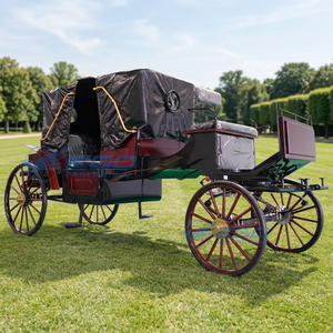 Carruaje de Boda Eléctrico Clásico de Alta Calidad, Modelo Princesa Real, 2026, el Más Vendido, con Caballos, Precio de Fábrica - Product Image 2