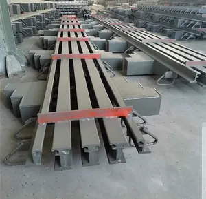 Bridge construction Special expansion joint Amazon Bridge expansion joint manufacturer and exporter