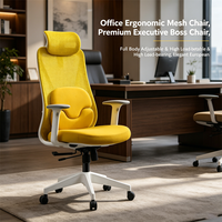 Chaise de bureau avec support lombaire, chaise de bureau ergonomique avec coussin, chaise de bureau ergonomique réglable, chaise de bureau entièrement en maille