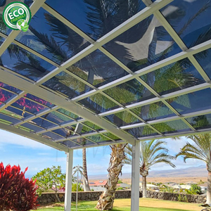 Guangdong Hommie SunShade Policarbonato Carport Aluminio Estacionamiento Garaje Toldo Cantilever Carports - Product Image 6