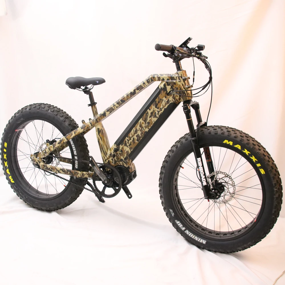2020 Mid Drive Electric Bike/bicycle 