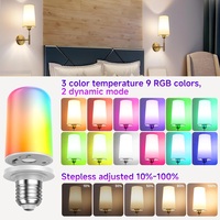5000mAh Rechargeable LED Ampoule RGB 3 couleurs Température Mode dynamique USB-C Port de charge Télécommande E27/E14 Fonctionne sur batterie