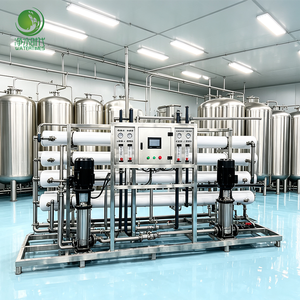 Purificateur d'eau commercial à double étage avec débit personnalisé pour la production en usine alimentaire et de boissons 0,25 t/h – Nous fournissons des modèles simples et doubles - Product Image 1