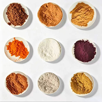 Approvisionnement en gros usine : Extrait de Polygonum Multiflorum de qualité alimentaire 10:1, poudre de racine de Fo-Ti pour complément alimentaire à base de plantes, matière première
