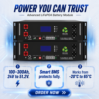 Batterie LiFePO4 24V 48V 51.2V 100Ah 300Ah pour stockage solaire mural/à rack avec BMS CAN/RS485 pour onduleur