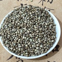 Graines de chanvre crues séchées en gros, riches en nutriments, pour la consommation humaine, superaliment végétalien naturel, graines de chanvre décortiquées en vrac