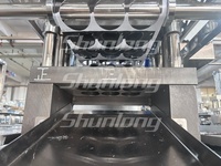 Machine d'emballage sous blister pour œufs surprise à 6 servomoteurs SL-480DM |   Thermoformage et thermoscellage pour jouets et confiseries