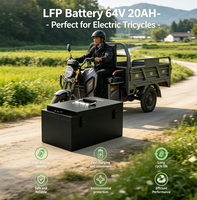 OEM Customized E-bike Battery 60V 25Ah-150Ah LiFePO4 Battery for E-Motorcycle/E-Tricycle/Solar Backup/Motorcycle Scooter Battery