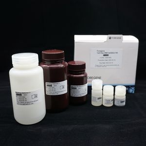 Échantillon disponible <span class=keywords><strong>Kit</strong></span> d'extraction d'<span class=keywords><strong>ADN</strong></span> sans cellule de bio réactif moléculaire de qualité - Product Image 4