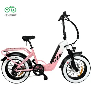 Venda quente 48V 750W motor traseiro de longo alcance duas rodas passo através de bicicleta elétrica Ebike para mulheres