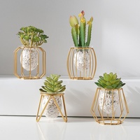 Vase hydroponique de luxe léger doré, écologique, créatif, pour la maison et le bureau, conteneur pour plantes aquatiques, décoration moderne en verre pour table