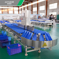 AOYUZOE Machine de tri automatique multifonctionnelle pour fruits et légumes avec système de calibrage de haute précision et garantie d'un an