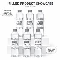 Machine automatique de rinçage, remplissage et bouchage de bouteilles en PET et en verre pour eau potable pure, contrôlée par PLC