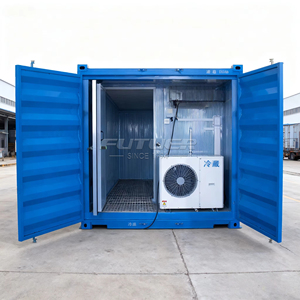 Les fournisseurs utilisent des conteneurs réfrigérés écoénergétiques pour le stockage congelé d'énergie solaire et de produits agricoles - Product Image 2