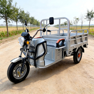 Triciclo Eléctrico de Carga ELK, Motorizado de Tres Ruedas, Acero, 60V 1000W+, Velocidad Máxima 30-50Km/h, Autonomía 50-70km, Carga Útil 400kg, Carrocería Abierta, Homologación DOT - Product Image 4