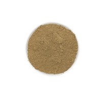 Fabrikpreis Yin Xing Ye Chinesisches Naturkraut Premium Getrocknetes Ginkgo Biloba Blattpulver