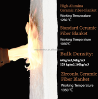 Couverture ignifuge en fibre de céramique XTT-3 Couverture en fibre de céramique de silicate d'acier Trait résistant au feu