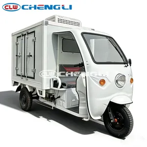 Triciclo Refrigerado CLW, Vehículo de Tres Ruedas para Transporte Refrigerado, Triciclo Eléctrico con Caja de Carga Grande - Product Image 4