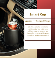 Manufacturing Companies Other Consumer Electronics Best Selling in Electronics for Cars