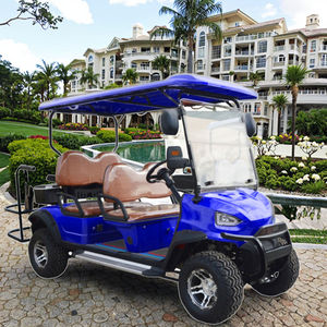 Carrito de Golf Eléctrico de Alta Calidad, 4 Asientos, Personalizado, Todoterreno, Vehículo de Recepción, Certificado por DOT, CE, GCC y EEC para Carreteras No Públicas - Product Image 2