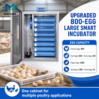 Incubateur Avicole Automatique Solaire Double Alimentation 800 Œufs avec Retournement Automatique à 360° pour Usage Industriel/Commercial – Taux d'Éclosion Élevé – Vente en Gros