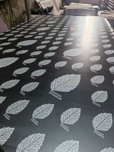 18mm beton fenolik Resin Formwork hijau papan keras Film menghadapi kayu lapis - Product Image 6