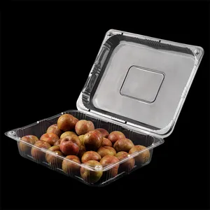 Custom 16 Oz Perforated Blueberry Strawberry Packaging Clear Food Container With Clamshell Lid