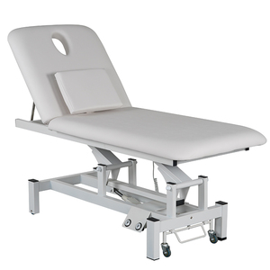 Cama eléctrica para salón de belleza, muebles de <span class=keywords><strong>fisioterapia</strong></span> facial, Rosa coreana, camas de masaje facial - Product Image 6