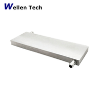 Bloc de refroidissement liquide en aluminium Wellentech 80*160*12mm, dissipateur thermique à montage en surface, garantie 12 mois pour CPU et semi-conducteurs