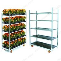 Chariot de présentation de fleurs en métal et contreplaqué pour pépinière danoise, modèle 2020, en promotion, chariot à fleurs danois, conteneurs CC pour plantes